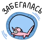 🤩 telegram sticker