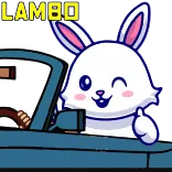 😎 LAMBO Hase, Kaninchen, Auto, süß, Cartoon, Lamborghini, Tier telegram sticker