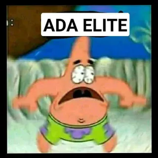 🙈 Patrick Star Spongebob Squarepants ADA ELITE Patryk Rozgwiazda, Spongebob Kanciastoporty, Meme, Śmieszne, Kreskówka telegram sticker