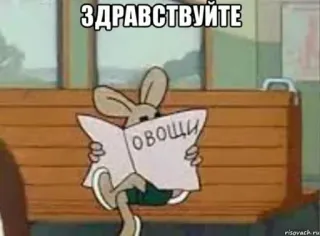 👋 ЗДРАВСТВУЙТЕ desenho animado, coelho, lendo, jornal, saudação, russo whatsapp sticker