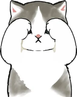 🙈 gato, espiar, tímido, fofo, animal telegram sticker