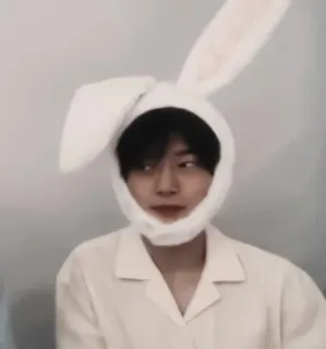 🦊 personne, bonnet lapin, costume, coréen, homme whatsapp sticker