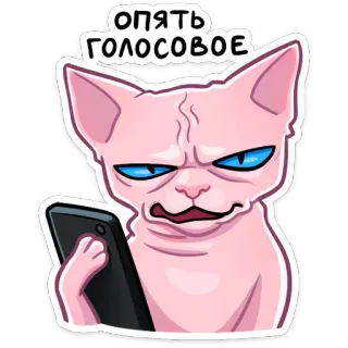 Рамзес @stickernayaa whatsapp stickers