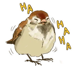 😂 HAHA птица, воробей, смех, хаха, милый, счастливый whatsapp sticker