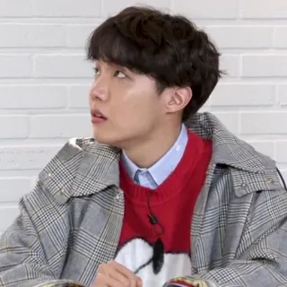 🦚 J-Hope kpop, jhope, bts, singer, music telegram sticker