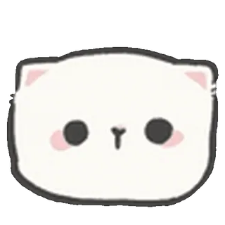 🐱