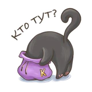 🐱 Кто тут? cat, animal, bag, question, russian, cute telegram sticker