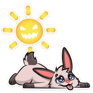 🌞 konijn, schattig, liggend, zon, cartoon telegram sticker