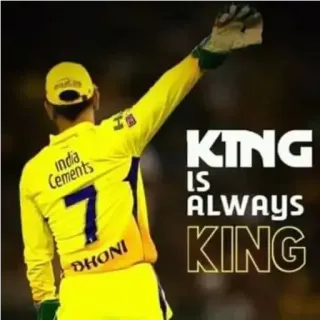 🤴 KING IS ALWAYS KING Cricket, Re, Sport, India, DHONI telegram sticker