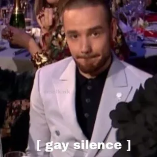🌸 gay silence meme, funny, humor, reaction, silence, gay telegram sticker
