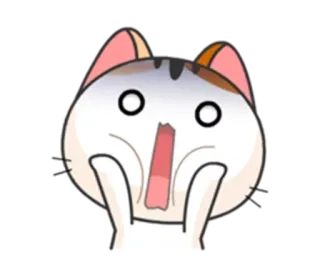 🐱 Katze, schockiert, überrascht, Cartoon, Tier, Ausdruck telegram sticker