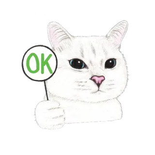 👌 OK 고양이, OK, 동의, 긍정적, 귀여운, 동물 telegram sticker