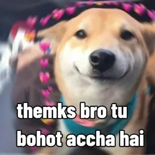 🙏 themks bro tu
bohot accha hai 犬, かわいい, ありがとう, ヒンディー語, ハート telegram sticker