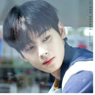 👀 Cha Eun-woo PRO PUEROS EUNWOO KIM Astro, Kpop, Idole, Drama coréen, Beau whatsapp sticker