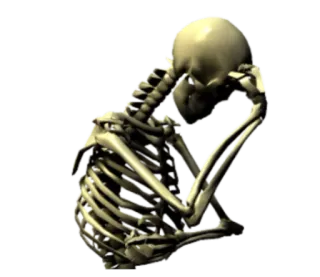 🤦 scheletro, pensando, anatomia, ossa, halloween, triste, pensieroso telegram sticker