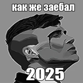 😪 как же заебал
2025 meme, portrait, russian, text, year, annoyed telegram sticker