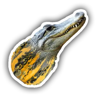 🐊 caimán, reptil, animal, naturaleza, vida salvaje, cocodrilo, amarillo, negro whatsapp sticker