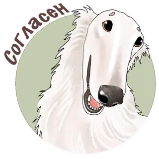🤝 согласен chien, barzoï, accord, russe, animal, sticker telegram sticker