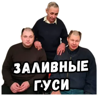 🦆 ЗАЛИВНЫЕ ГУСИ ludzie, mężczyźni, grupa, rosyjski, tekst telegram sticker