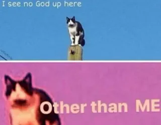 😎 I see no God up here 
Other than ME cat, meme, funny, humor telegram sticker
