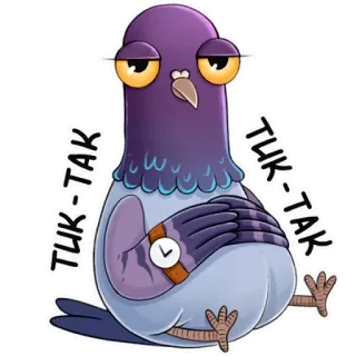 ⏰ TUK-TAK pigeon, bird, animal, clock, time telegram sticker