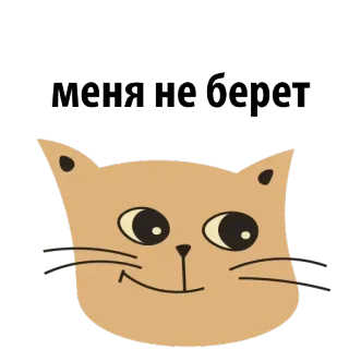 🙁 меня не берет gato, meme, engraçado, russo, humor, animal telegram sticker