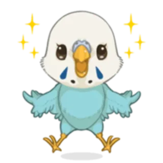 ✨ птица, милый, каваий, блестки, животное, волнистый попугай, питомец telegram sticker