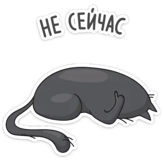 🙈 НЕ СЕЙЧАС gato, dedo corazón, grosero, vago, ahora no telegram sticker