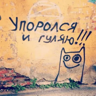 👨‍🎨 Упоролся и гуляю!!! Graffiti, Gato, Ruso, Texto, Pared telegram sticker