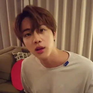 🐹 Jin Mann, Person, Asiatisch, Kpop, Sänger, Promi, BTS telegram sticker