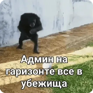 Больше стиков тут: @stikery4 telegram stickers