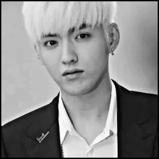♠️ Kris Wu K-pop, Cinese, Cantante, Attore, Idolo, Celebrità, Ritratto telegram sticker