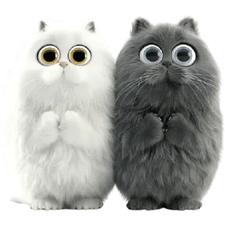 😳 koty, słodkie, zwierzęta domowe, zwierzęta, kreskówka, puszyste, urocze telegram sticker