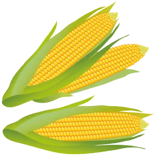 🌽 maíz, comida, verdura, saludable, mazorca telegram sticker