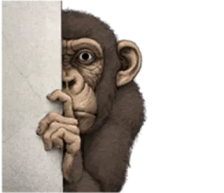 🐵 monyet, kera, binatang, mengintip, rahasia, ilustrasi telegram sticker