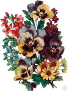 🌸 hoa, hoa lá, bó hoa, cổ điển, thiên nhiên telegram sticker