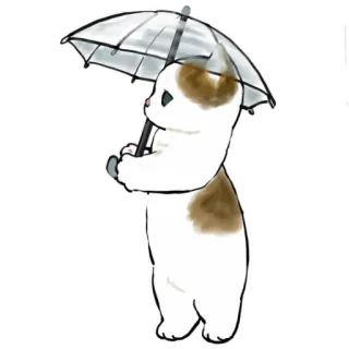 ☂ Katze, Tier, Regenschirm, süß, kawaii, Wetter, Regen, Zeichnung whatsapp sticker
