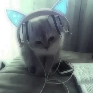 🥺 котёнок, кот, наушники, музыка, милый, животное telegram sticker
