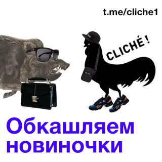 💣 Обкашляем новиночки animal, jabalí, pollo, negocios, maleta, cliché telegram sticker