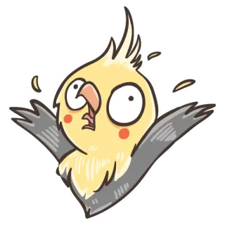 😲 calopsitta, uccello, adesivo, cartone animato, carino, animale telegram sticker