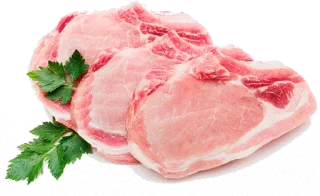 🍗 carne, cerdo, carne cruda, alimento, chuleta, fresco, crudo telegram sticker