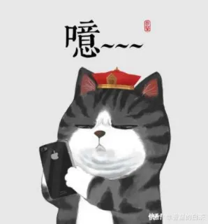 😒 噫~~~ kucing, meme, binatang, imut, telepon, potret telegram sticker