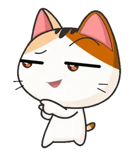😏 kot, kreskówka, zwierzę, zadowolony z siebie, zwierzę domowe whatsapp sticker