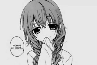 😶 YOU'RE AN IDIOT... garota anime, idiota, insulto, fofa, tranças, mangá telegram sticker