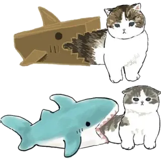 😘 кот, акула, милый, животное, питомец telegram sticker