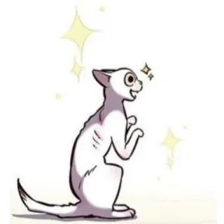 😀 고양이, 동물, 반짝이, 만화 telegram sticker