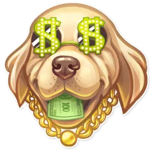 🤑 cane, soldi, simboli dollaro, golden retriever, ricchezza, lusso, bling, cartone animato telegram sticker