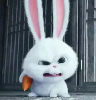 😶 Snowball The Secret Life of Pets conejo, conejito, enojado, blanco, zanahoria, dibujos animados telegram sticker
