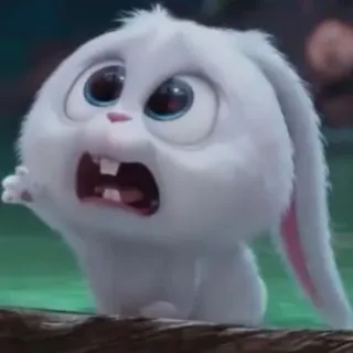 🐰 Snowball The Secret Life of Pets coniglio, carino, animale, cartone animato, Pets - Vita da animali whatsapp sticker