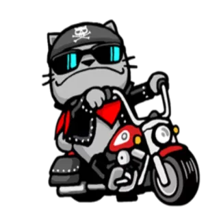 🏍 cat, biker, motorcycle, skull, sunglasses, cartoon telegram sticker